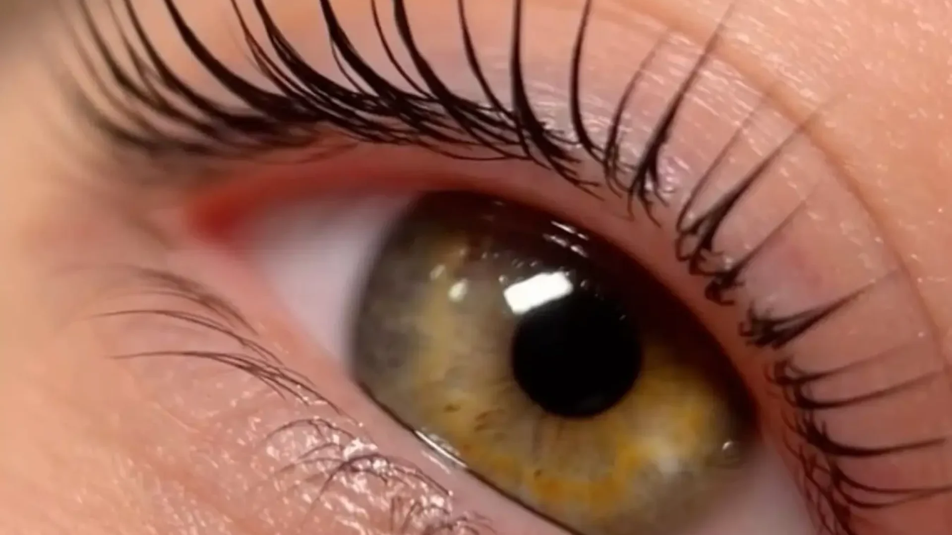 467656072_17935530935939980_8906810579437143715_n